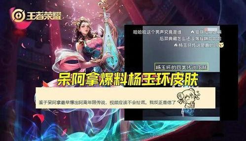 杨玉环最新海报爆料视频,全新爆料视频揭秘绝世佳人风采